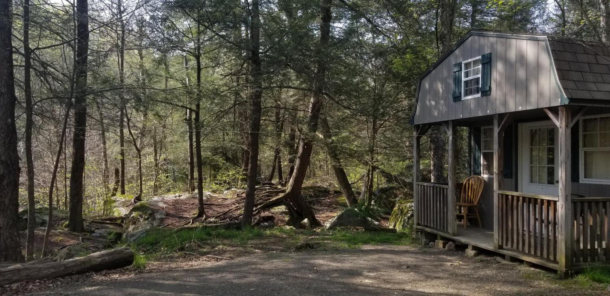 Abrams Creek Campground Mount Storm Экстерьер фото