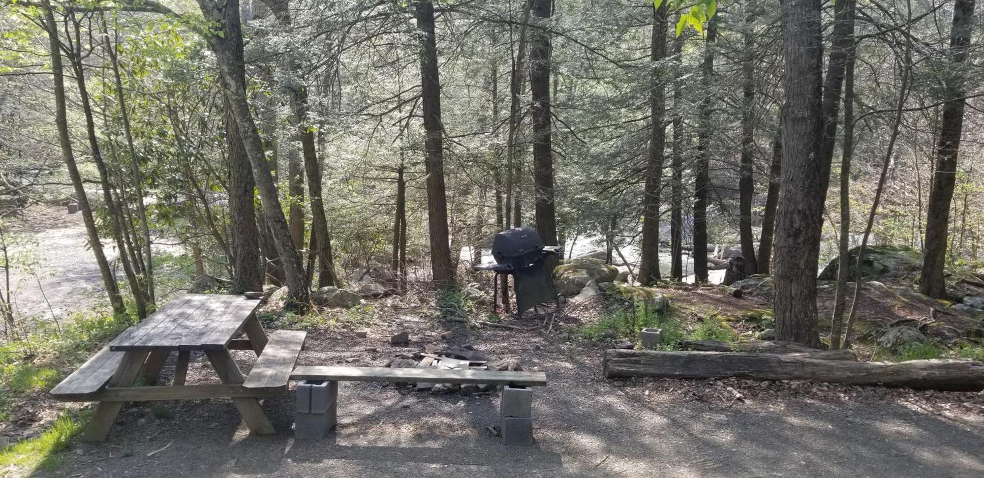 Abrams Creek Campground Mount Storm Экстерьер фото