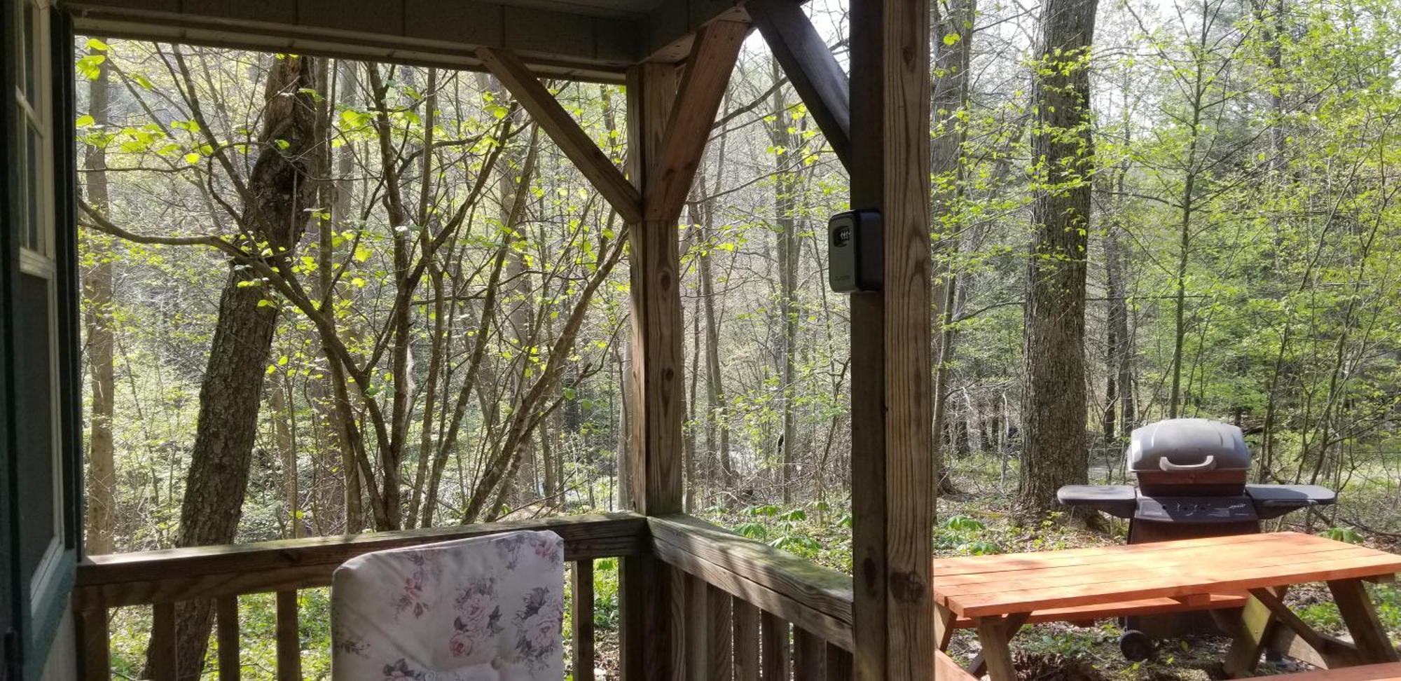Abrams Creek Campground Mount Storm Экстерьер фото
