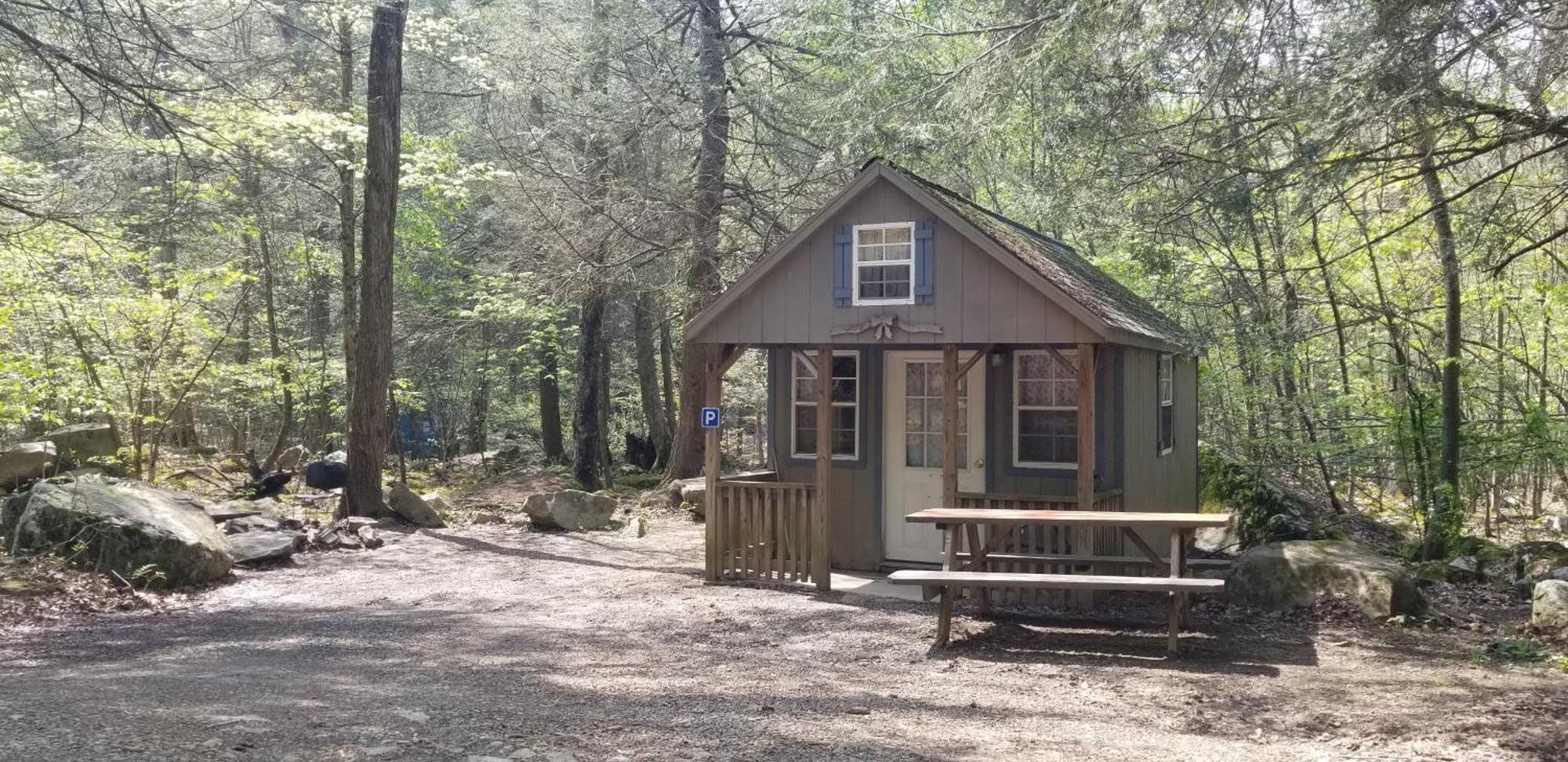 Abrams Creek Campground Mount Storm Экстерьер фото