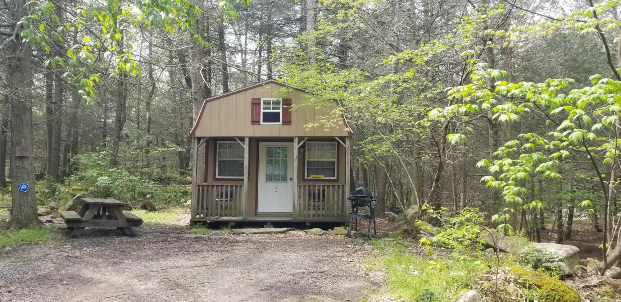 Abrams Creek Campground Mount Storm Экстерьер фото