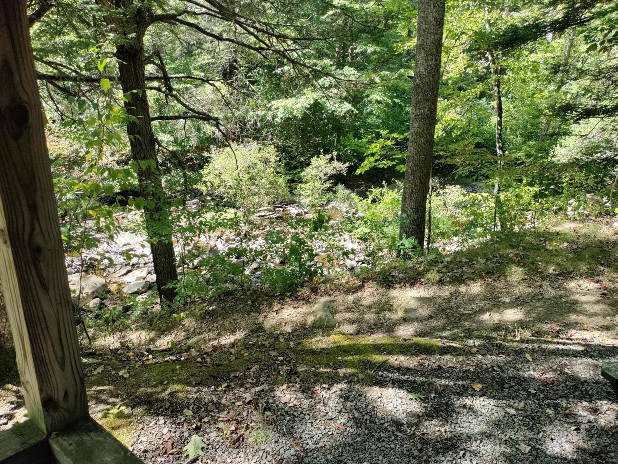 Abrams Creek Campground Mount Storm Экстерьер фото