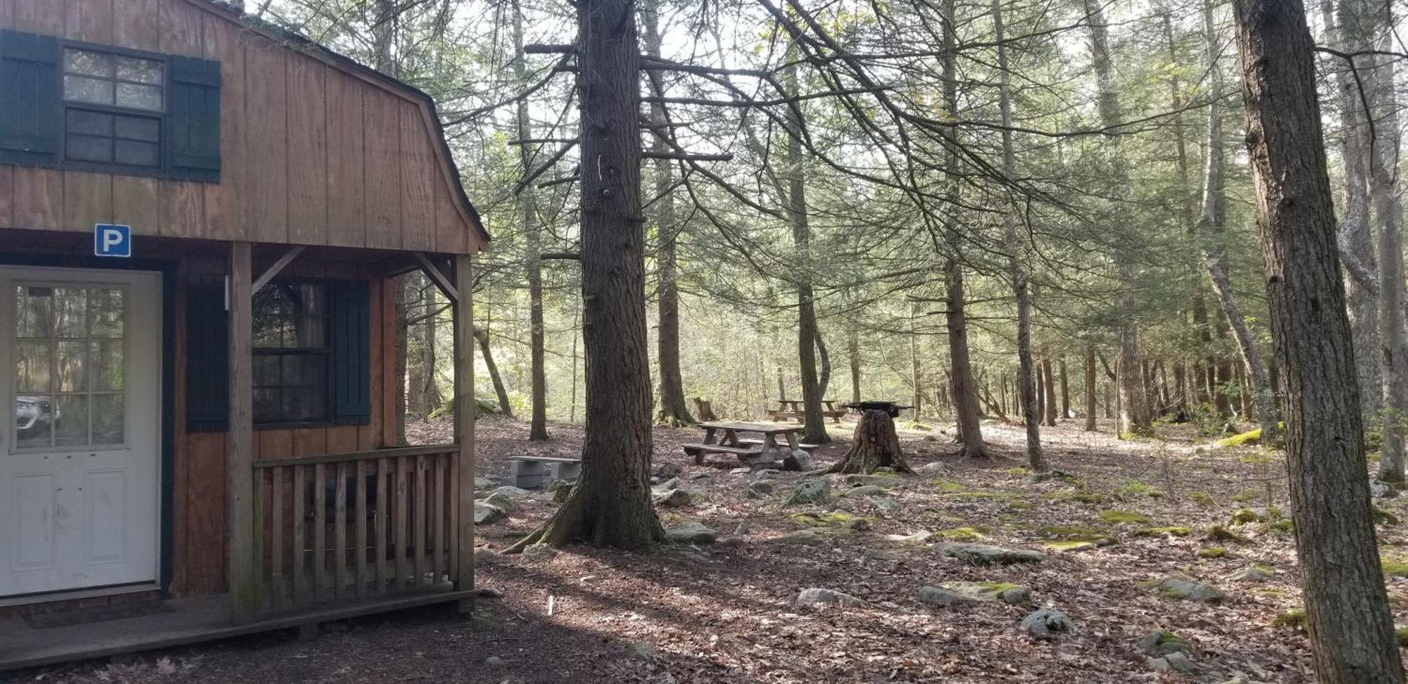 Abrams Creek Campground Mount Storm Экстерьер фото