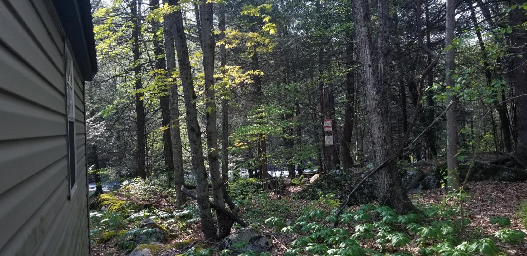 Abrams Creek Campground Mount Storm Экстерьер фото