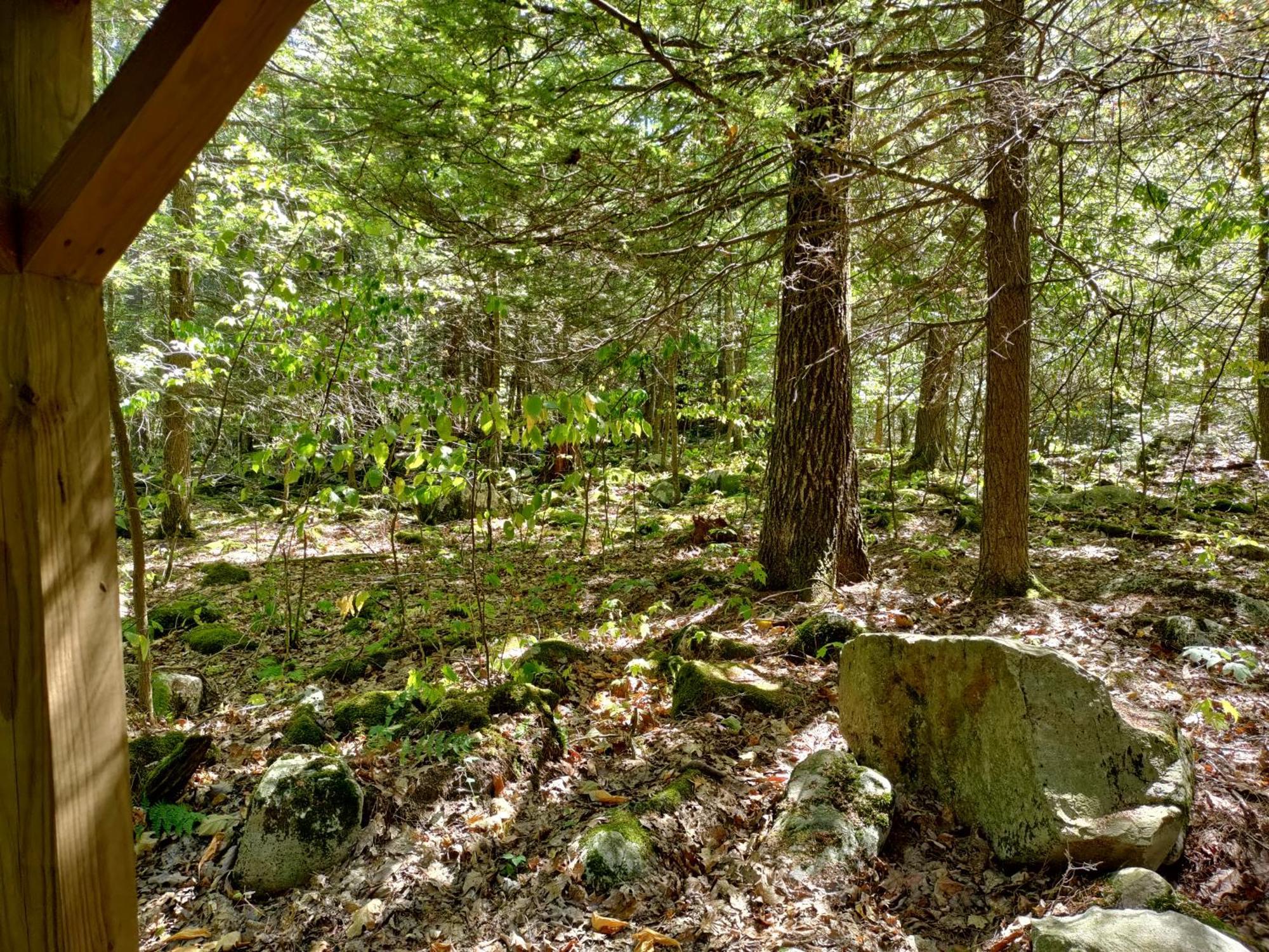 Abrams Creek Campground Mount Storm Экстерьер фото