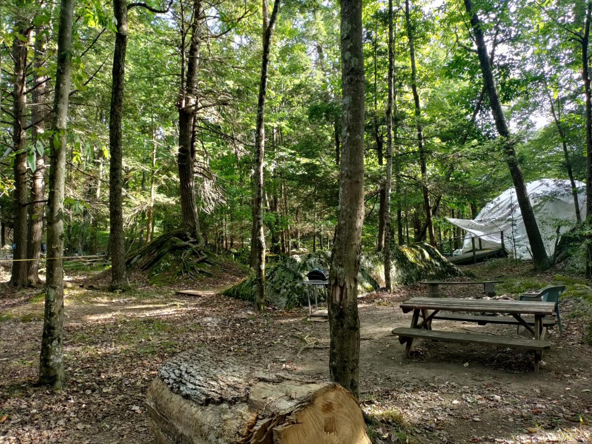 Abrams Creek Campground Mount Storm Экстерьер фото