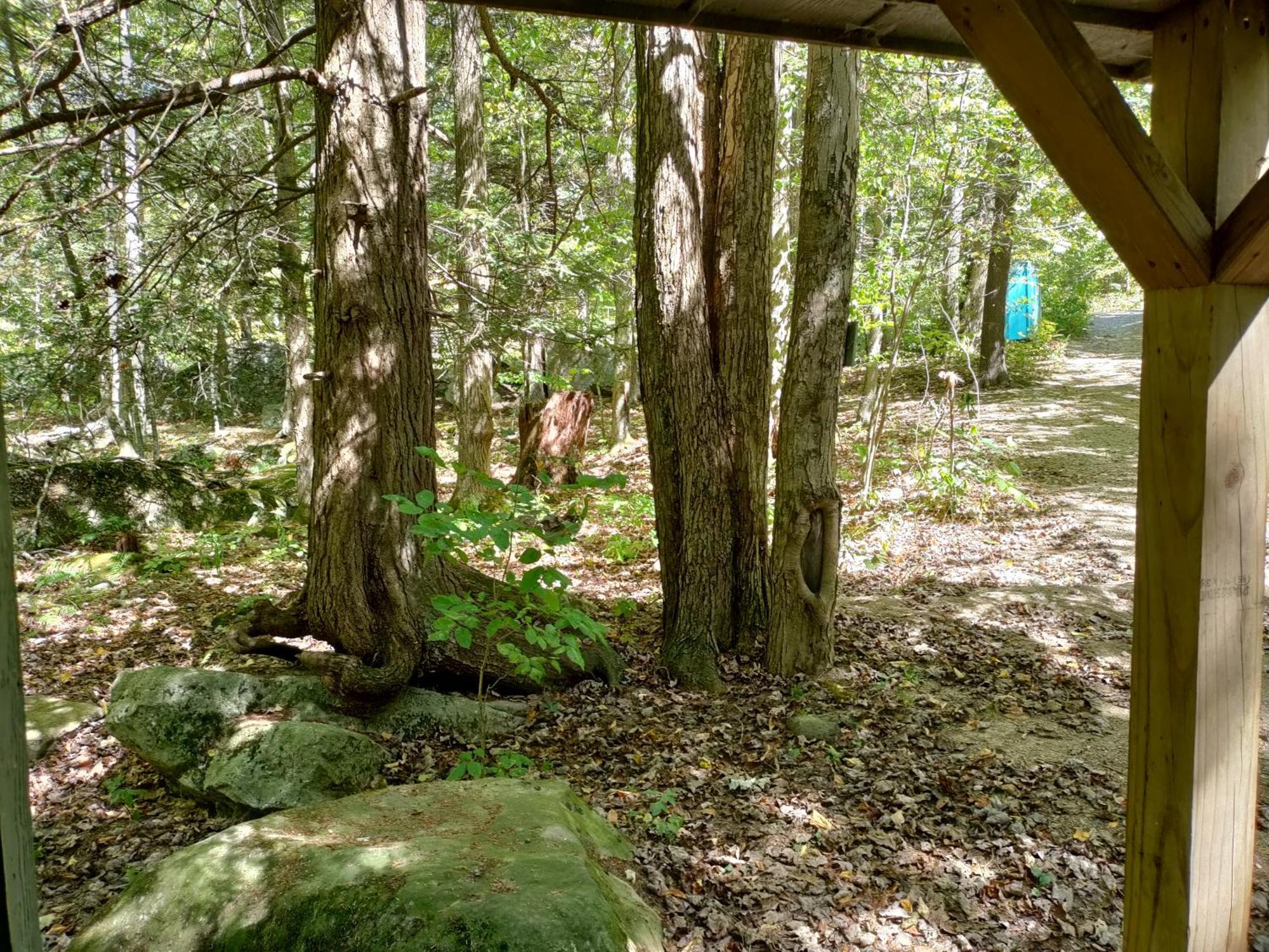 Abrams Creek Campground Mount Storm Экстерьер фото